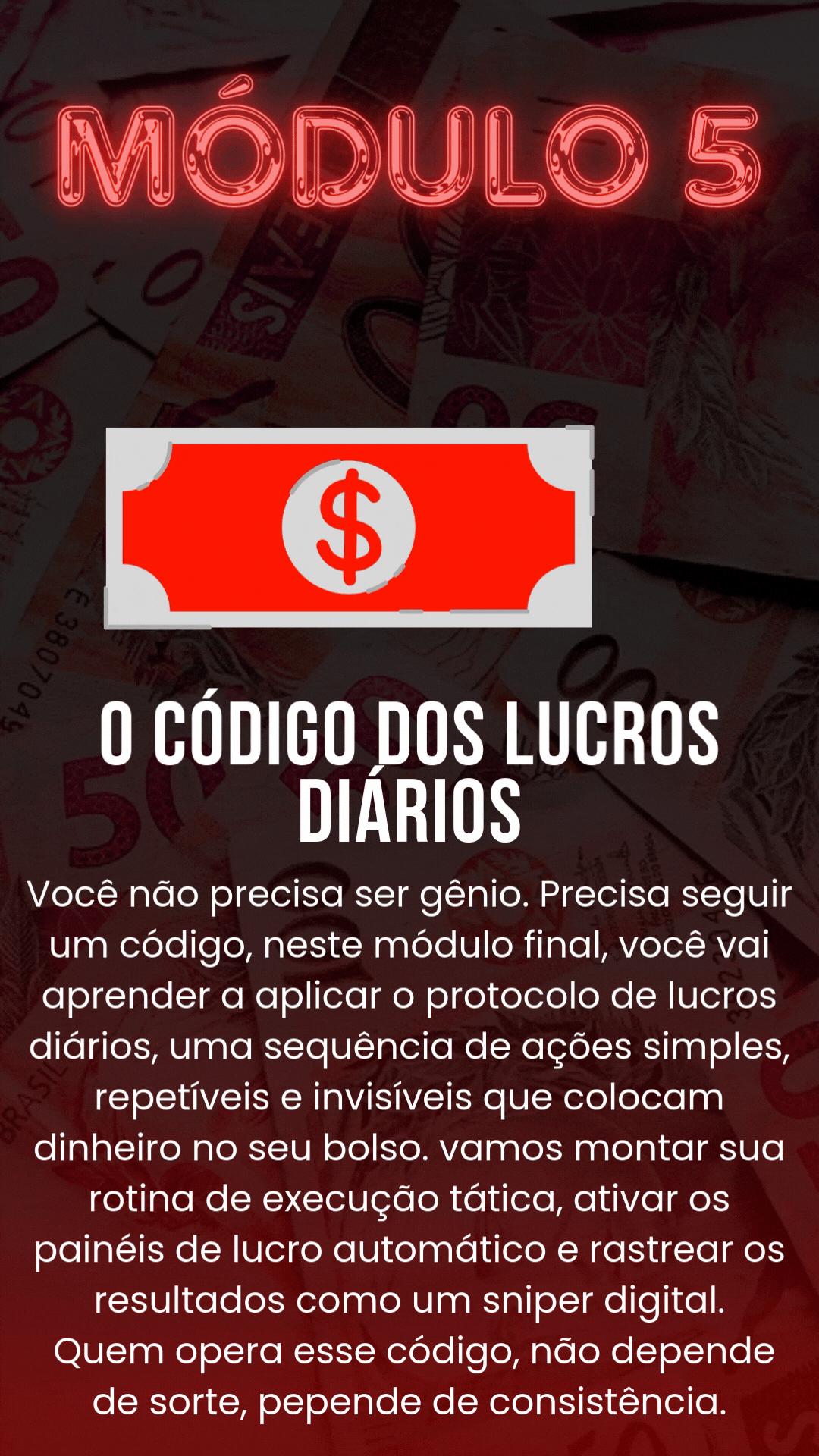 Criação de perfil (9)